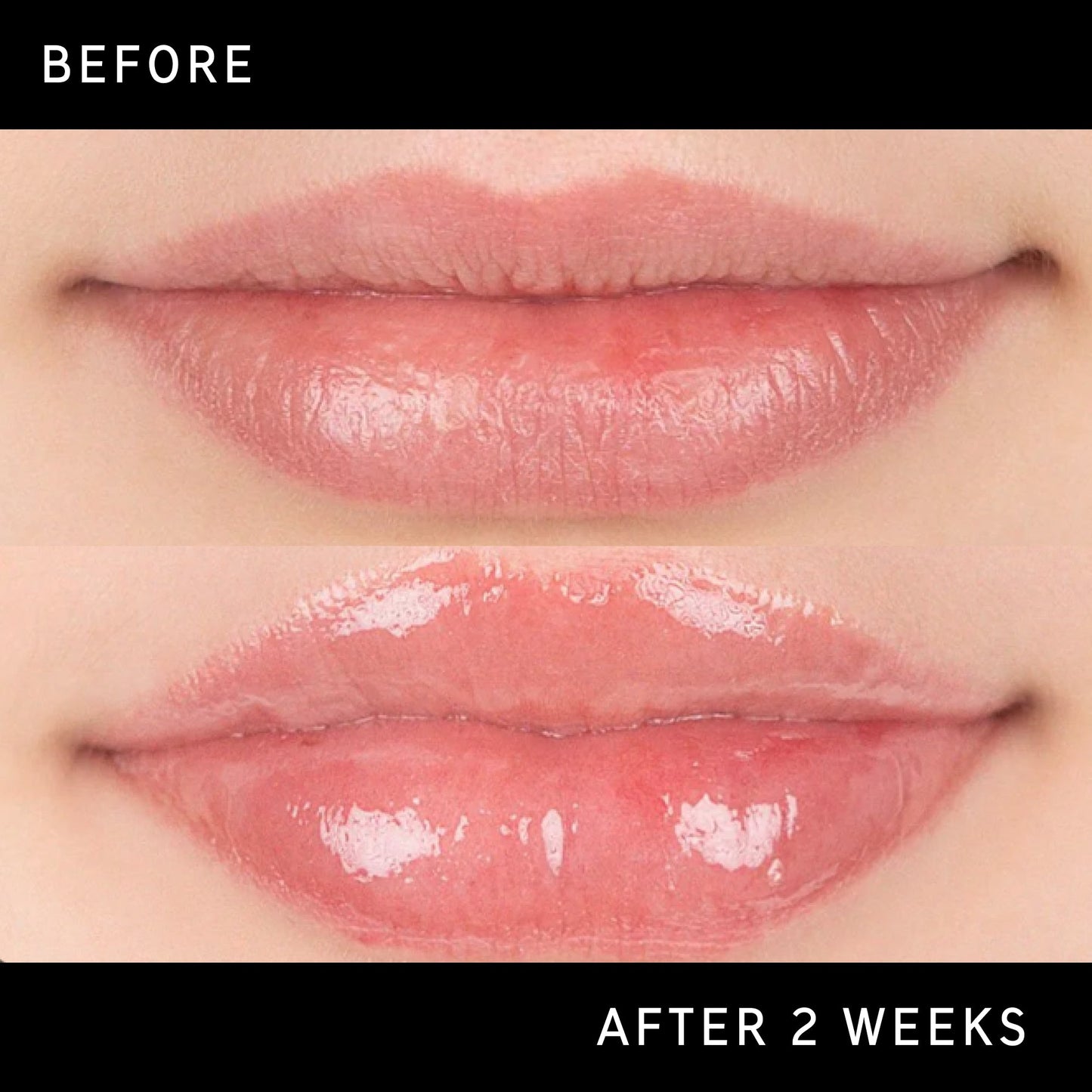 lip-plumping-duo-e8 DTC-Top15_Amends_Tripeptide-Lip_B_A.jpg